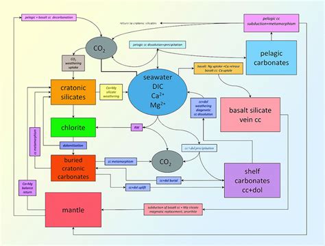 Schematic Diagram Of Carbon Cycle