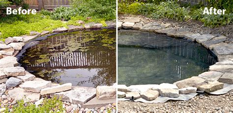 How To Get Rid Of Algae In A Large Pond Proven Tips