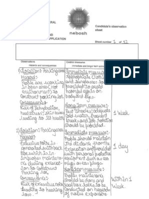 Nebosh IGC 3 Observation Sheet 00218445 Final Personal Protective