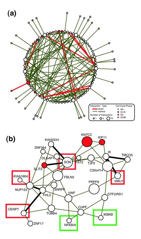 Validation of siRNA sequences for essential mitotic genes. (a ... 