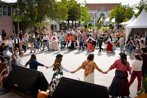 Feira De Artesanato E Gastronomia Da Mealhada Foi Uma Aposta Ganha