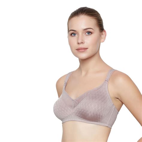 Buy Triumph Azalea Minimizer Non Wired Non Padded Bra Pink Online