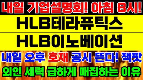 Hlb테라퓨틱스 이노베이션 주가전망 🚨긴급속보🚨내일 기업설명회 아침 8시 오후 핵심 호재 공시 뜬다 난리났다 외인 세력