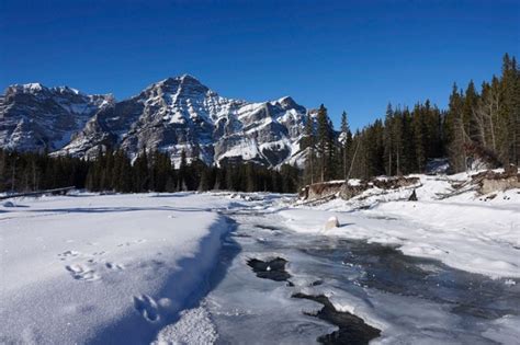 7 Beginner Cross Country Ski Trails Near Calgary Zen Travellers