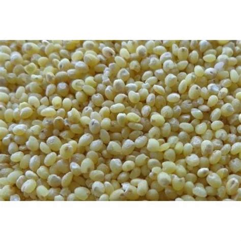 Theni Thaniyam Yellow Proso Millet 95 Packaging Size 1 Kg At Rs 61