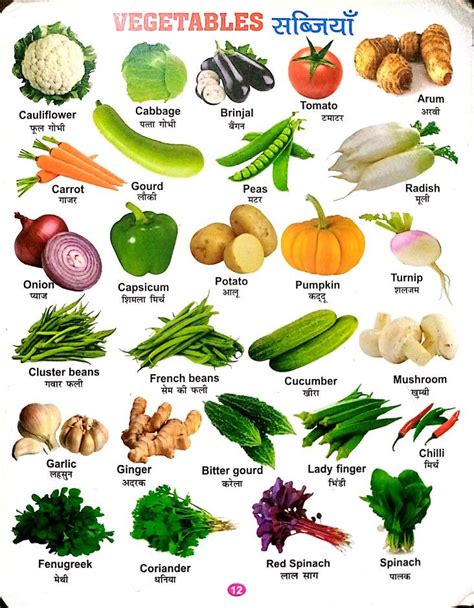 Vegetables Names In English With Pictures Vegetables Names List Artofit