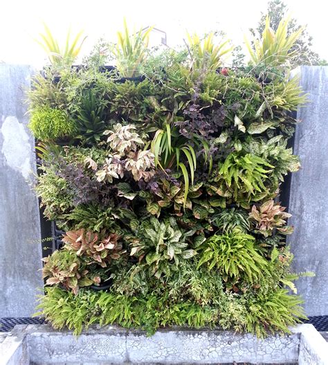 Another beautiful green wall located at our concept centre! # ...