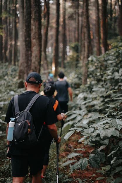 Premium Photo Explore Sentul Bogor Spectacular Forest Trails A Hiking