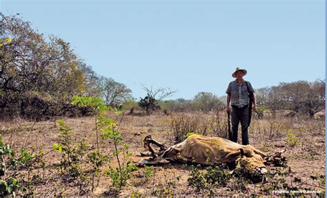 Campo Mexicano Abandonado Productores V A Org Nica