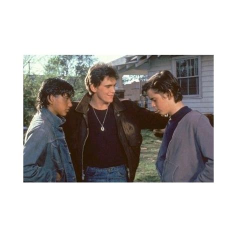 JOHNNY, DALLY, AND PONYBOY - The Outsiders Photo (5509501) - Fanpop liked on Polyvore featuring ...