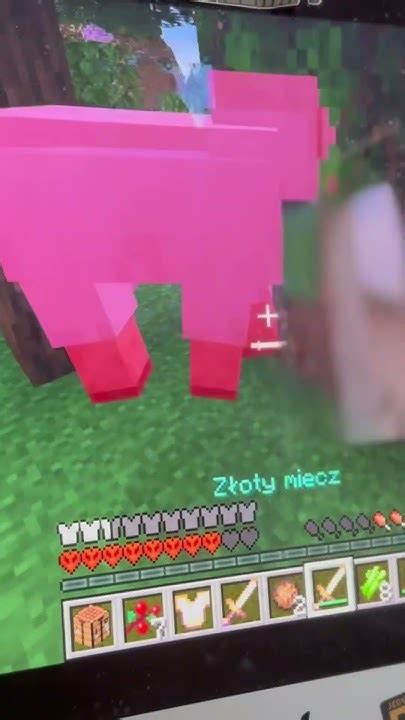 Zagrajmy W Minecraft 2 Zapraszam Do Obejrzenia Filmu Na Kanale Youtube