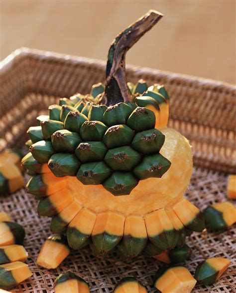 Opened Pandanus Fruit Photograph by Strauss, Friedrich