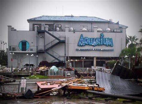 Kemah Boardwalk Aquarium Perhaps The One We Most Worried A Flickr