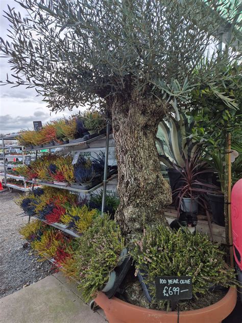 How to Reach Lumby Garden Centre Coffee Shop via Public Transit 9