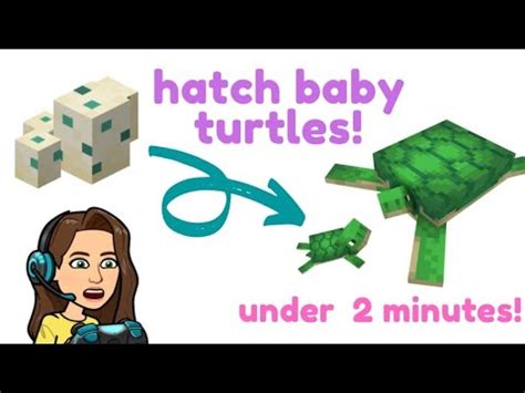 How To Quickly Hatch Turtle Eggs In Minecraft Youtube