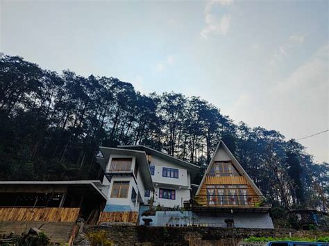 zangmo lee baam opiniones  comparacion de precios