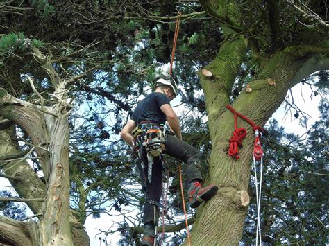 Rigging Ropes Marlow Ropes