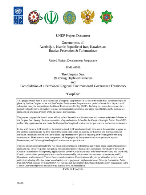 Financing Plan In Us Undp Info Undp Doc Template Pdffiller