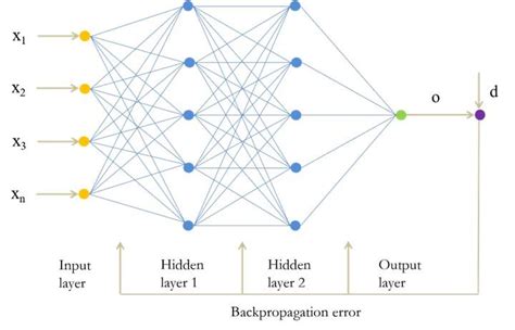 Schematic diagram of neural network. | Download Scientific Diagram