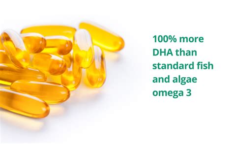 Omega 3 Vegan Double Concentrate Dha 500mg Per Capsule Eu Certified