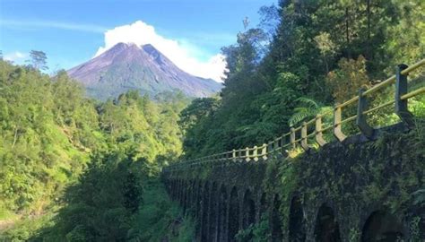 Masuk Lokasi Syuting Kkn Di Desa Penari Intip Keindahan Tempat Wisata