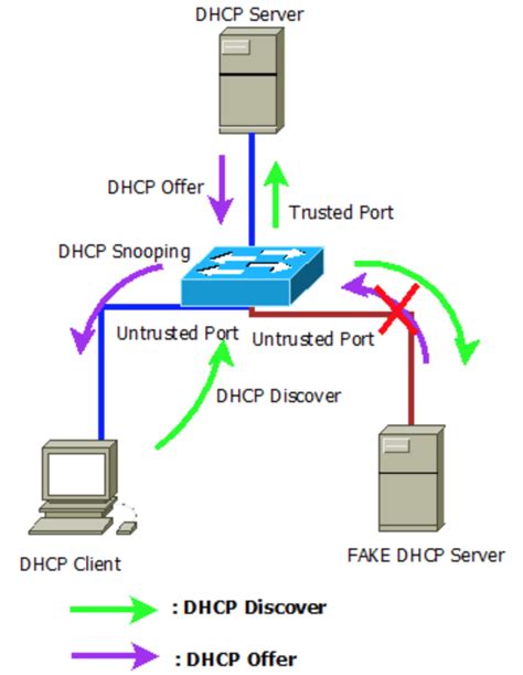 Configure Dhcp Snooping On Cisco Switches Hot Sex Picture