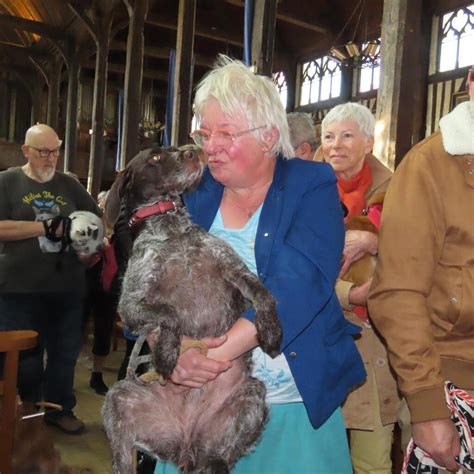 Bénédiction des animaux à Honfleur et Dieu reconnaîtra les chiens