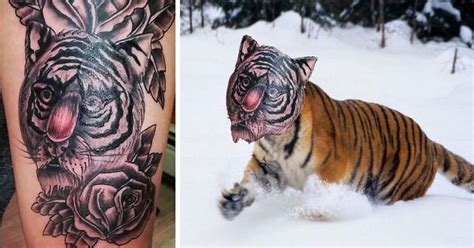 Bengal Tiger Tattoo Angelina Jolie