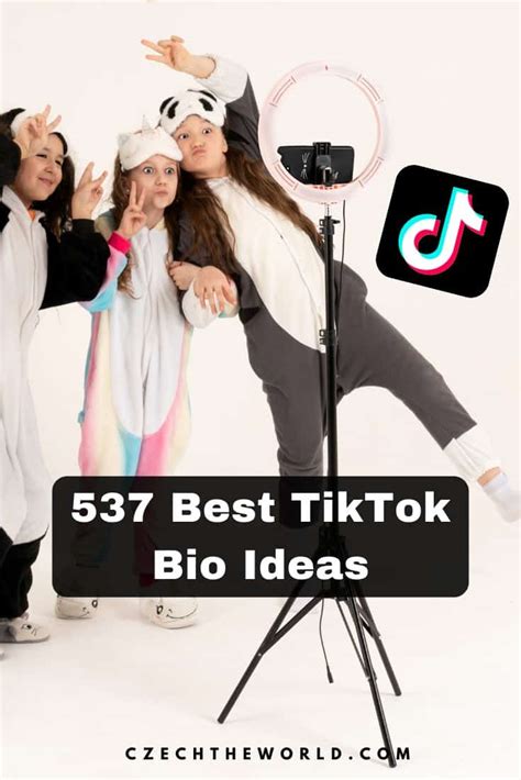 537 Best Tiktok Bio Ideas You Should Use To Be A True Star