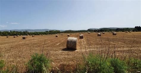 Agricoltura Sostenibile In Sardegna Gli Under 40 Pionieri Dell