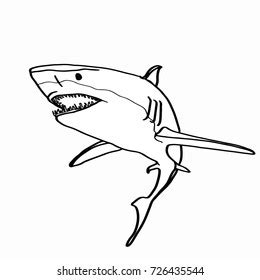 Realistic Shark Drawing Stock Illustration 726435544 | Shutterstock