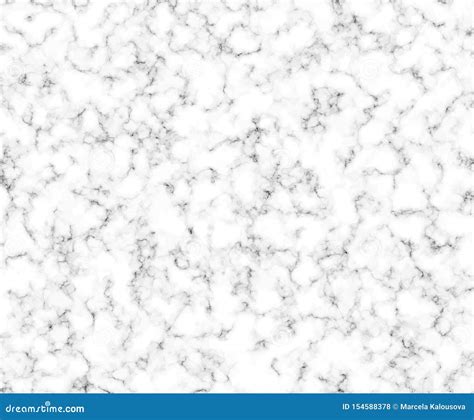 Fundo De M Rmore Branco Do Vetor Da Textura Foto De Stock Imagem De