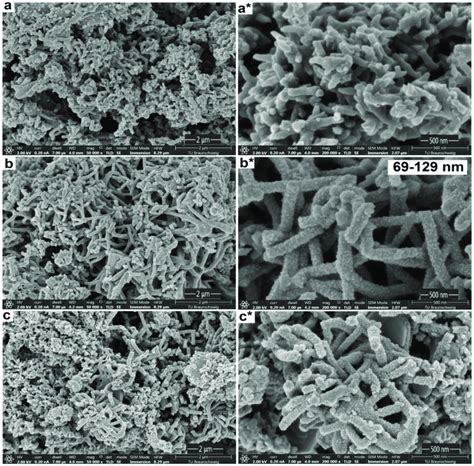 Surface Morphology Of A C Polyaniline Pani S S And S At K