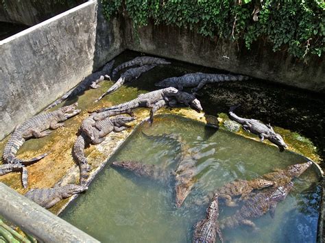 Palawan Wildlife Rescue and Conservation Center