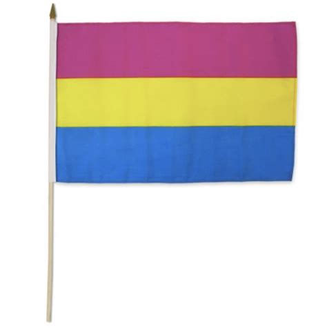 Large Pansexual Stick Flag Humanity