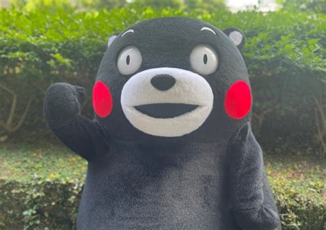 Beyourlover On Twitter Rt Kumamon Kumamonday