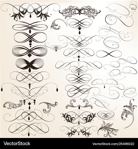 Collection Decorative Calligraphic Flourishes Vector Image