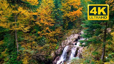 K Autumn Waterfall Sounds Hours Relaxing Autumn Forest And