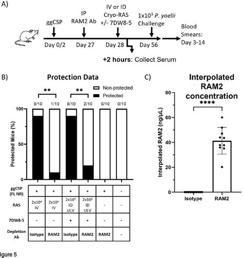 Figure 1 From Ultra Low Volume Intradermal Administration Of Radiation