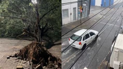 Chuva Forte E Ventania Causam Estragos Em Juazeiro Do Norte Site Mis Ria