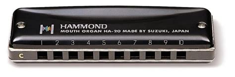 The 4 Best Harmonicas For Beginners Reviews 2024