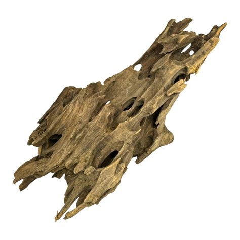 Dragon Wood – naturalny smoczy korzeń do aranżacji zbiorników