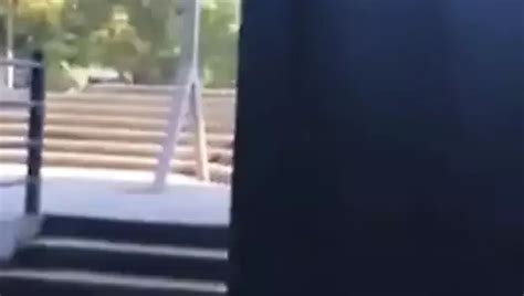 Paracin Porn Videos XHamster