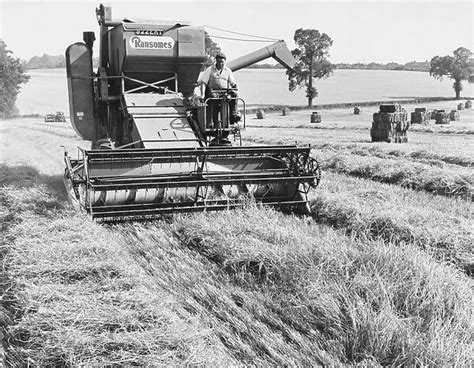 Harvesting barley with a Ransome Combine Harvester on a