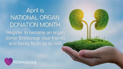 Organ Donation Awareness - Renal Support Network