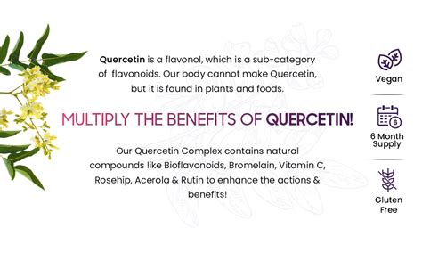 Quercetin Complex 610mg 6 Months Supply Vegan Quercetin Bromelain