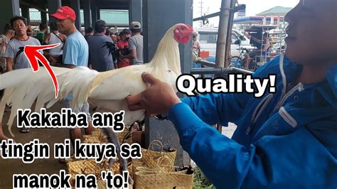 Episode 8 Bentahan Ng Manok Sa Padre Garcia Batangas YouTube