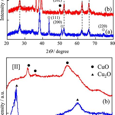 Relationship Between Work Functions Of Conductive Supports And