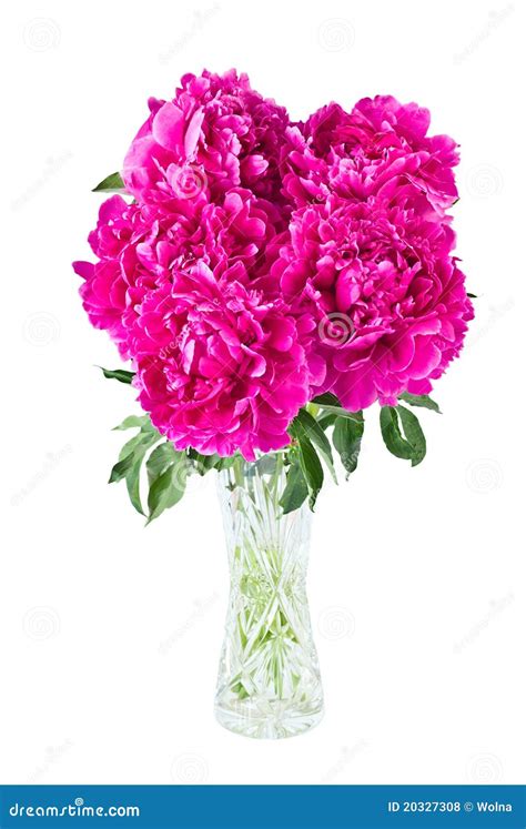 Bouquet Of Peonies In Vase Stock Photo Image Of Glass 20327308