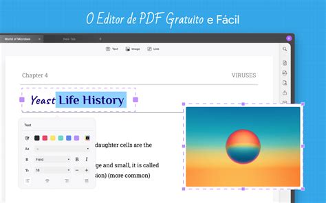 Como Copiar Texto De Pdf Maneiras F Ceis E Gratuitas Updf